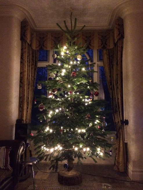 9t - 10ft Nordnann Fir Christmas Tree