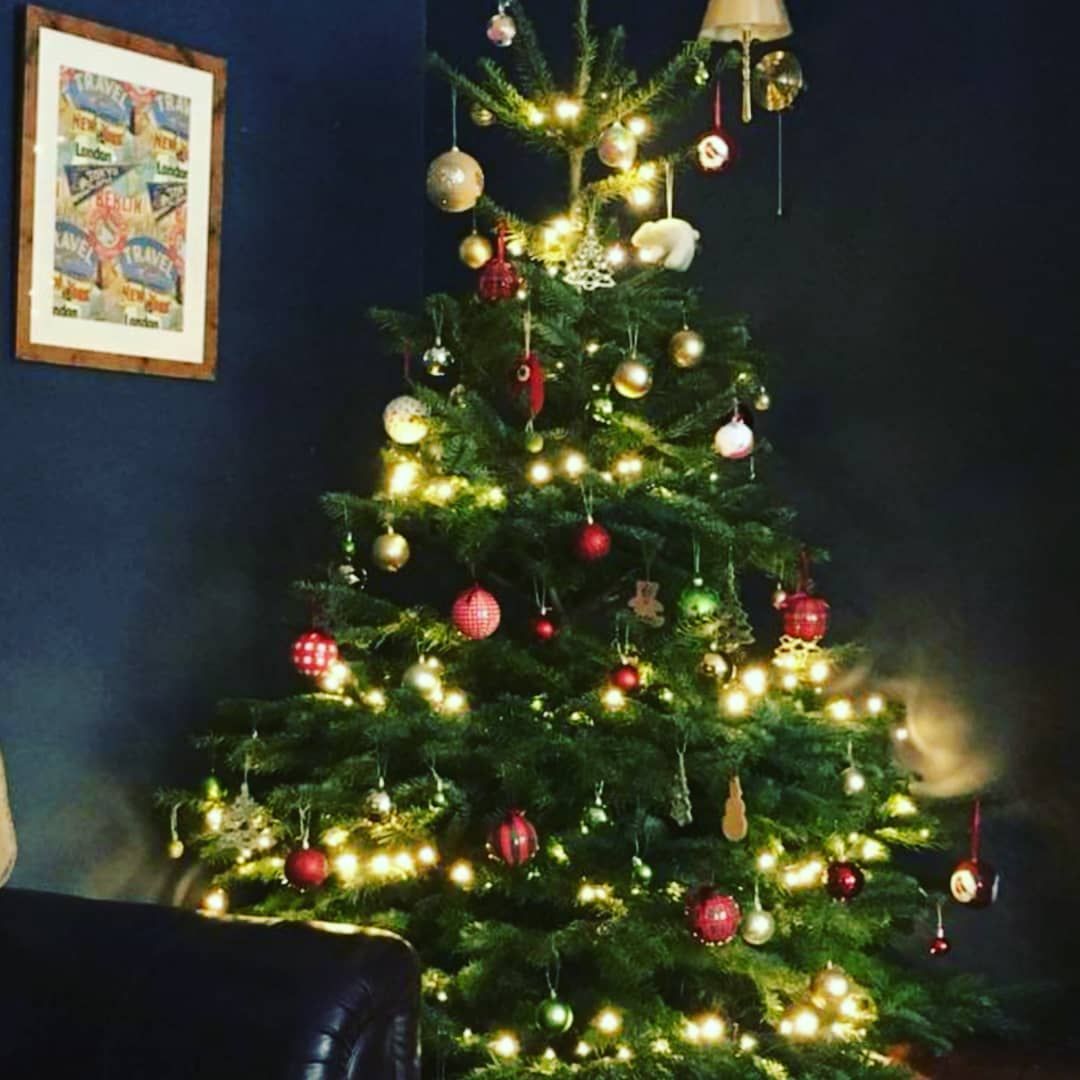 6ft - 7ft Nordnann Fir Christmas Tree
