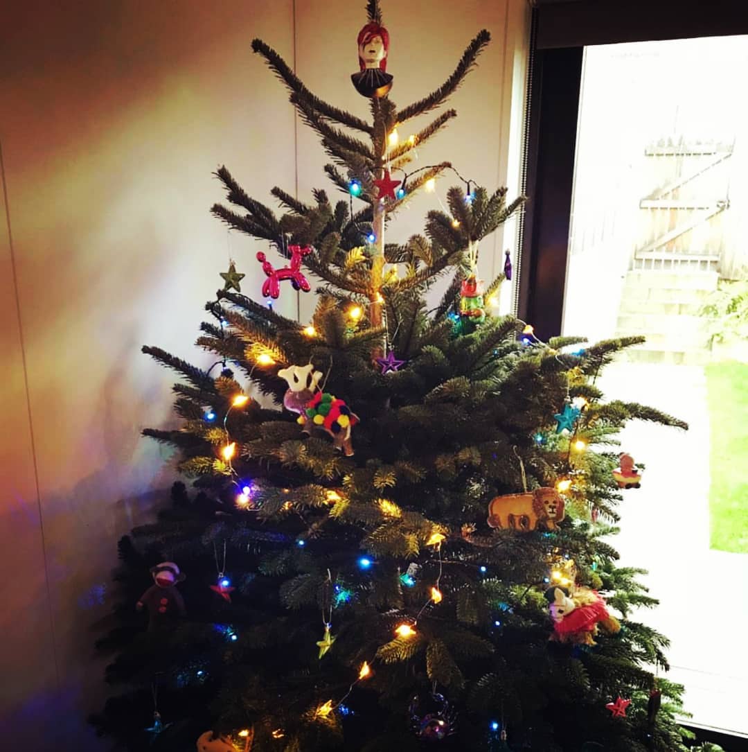 5ft - 6ft Nordnann Fir Christmas Tree