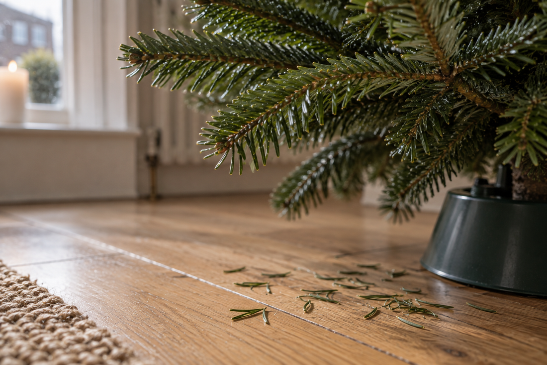 Close-up of Nordmann Fir needles with a few fallen needles on the floor