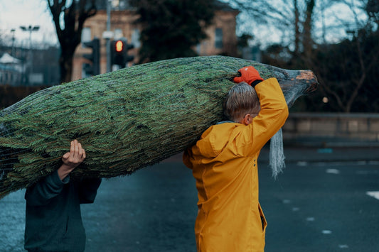 Stress‑Free Christmas Tree Delivery in Manchester