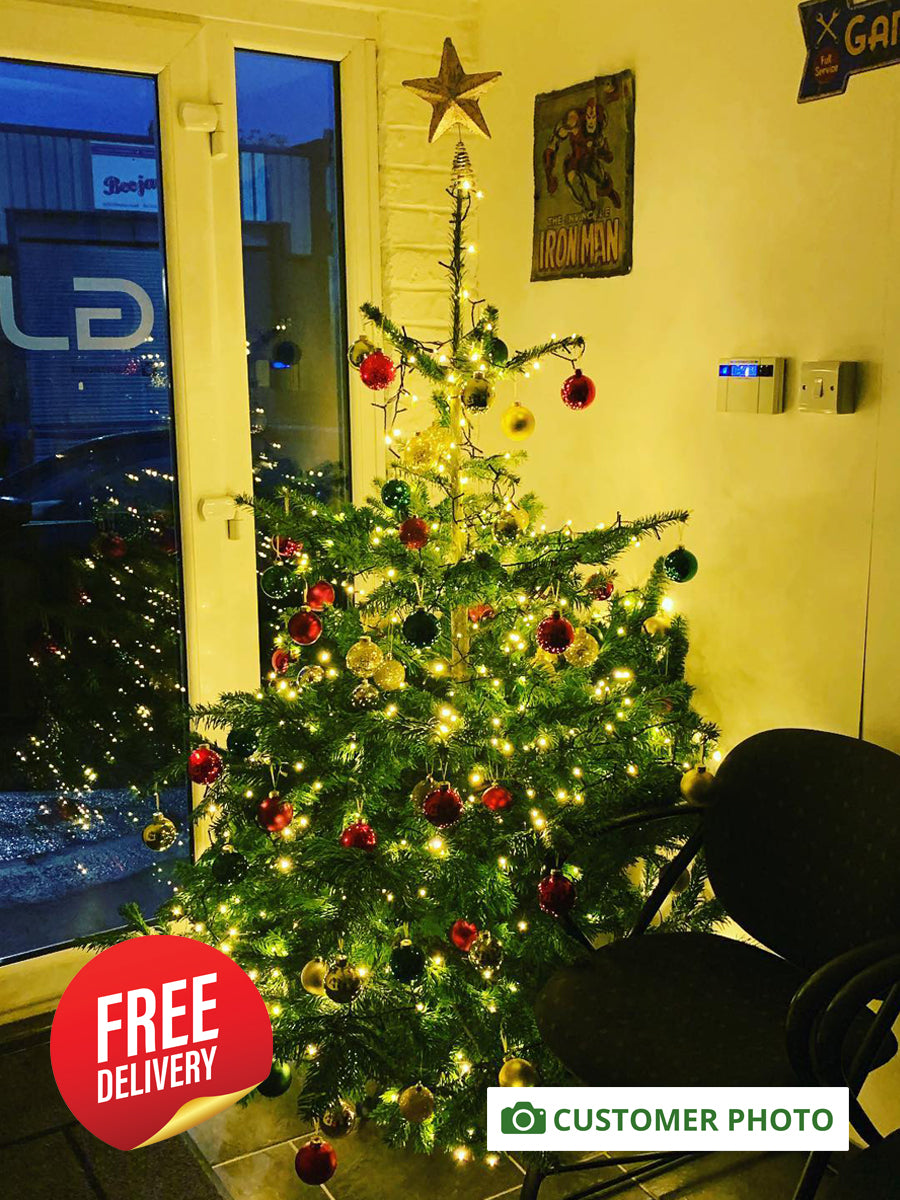 5ft - 6ft Nordnann Fir Christmas Tree