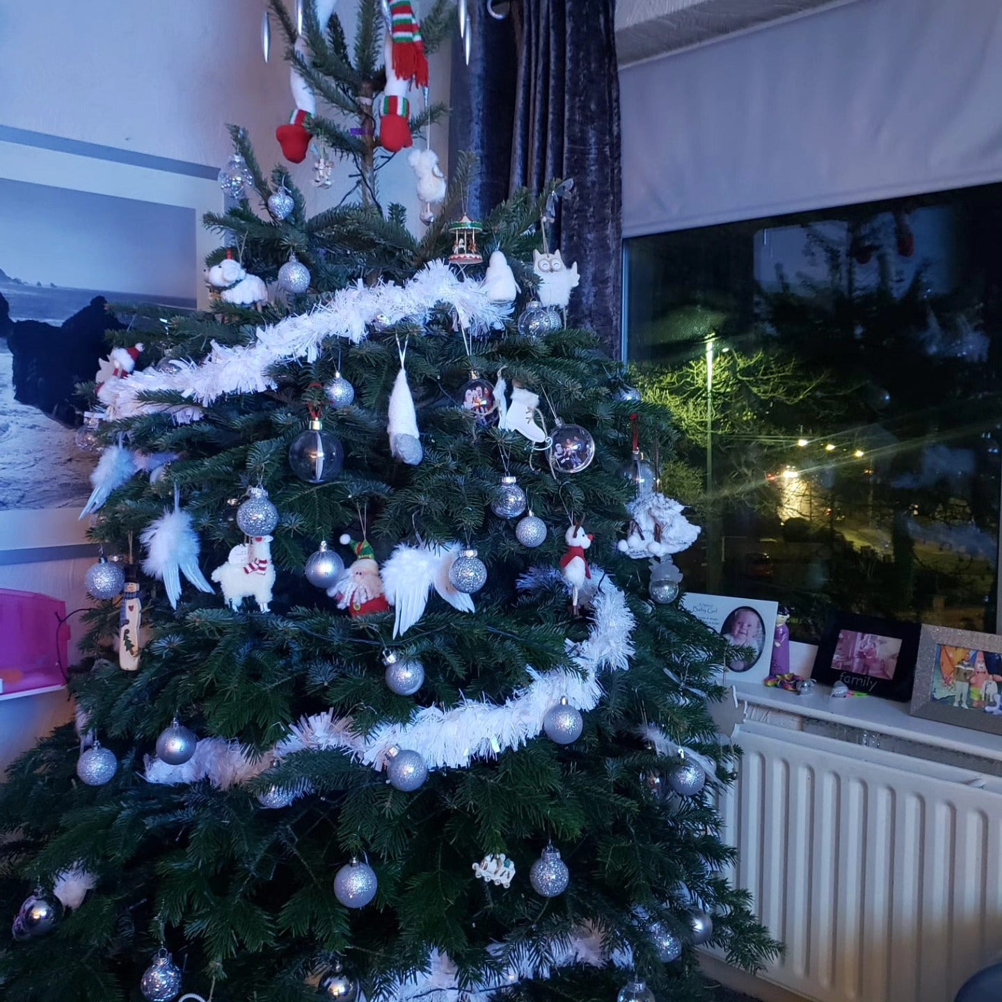 6ft - 7ft Nordnann Fir Christmas Tree