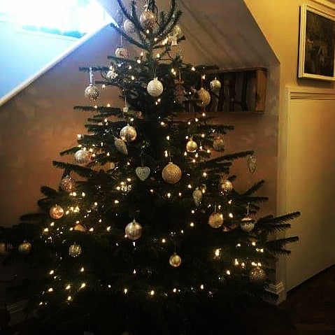 6ft - 7ft Nordnann Fir