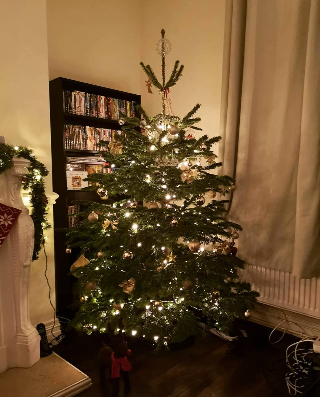 6ft - 7ft Nordnann Fir