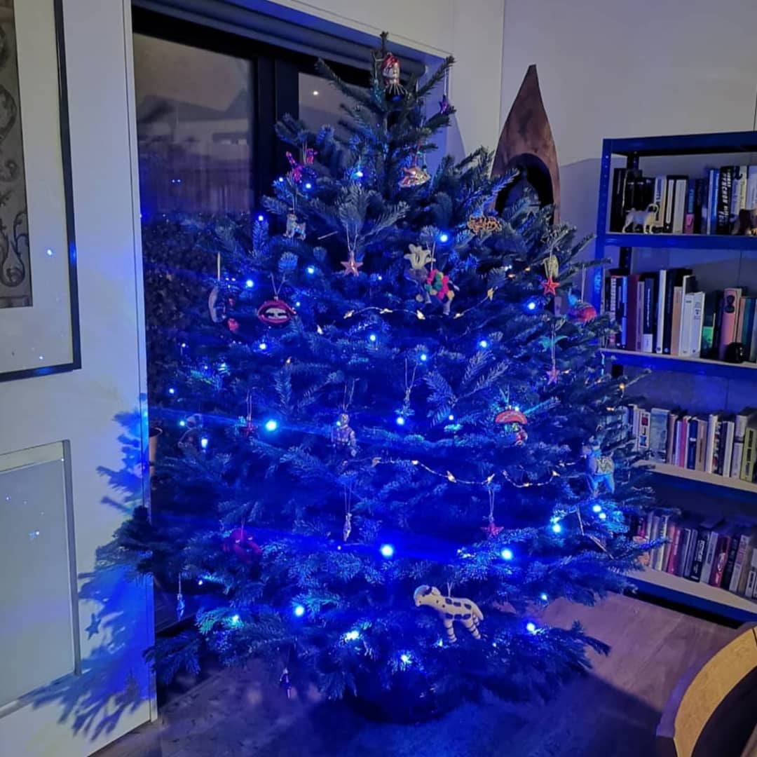 6ft - 7ft Nordnann Fir