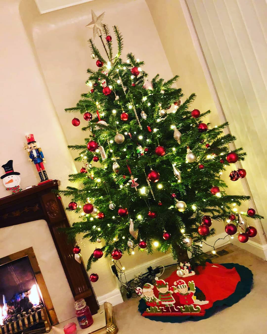 5ft - 6ft Nordnann Fir