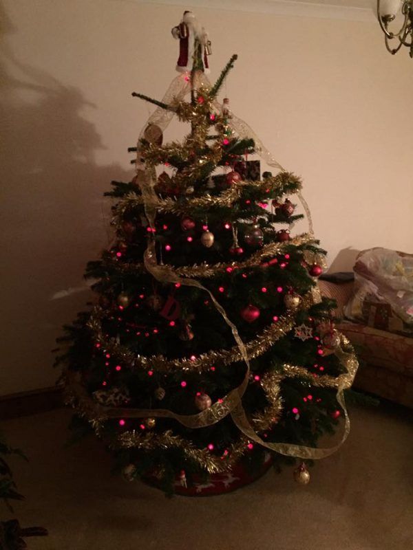 5ft to 6ft Christmas Tree | Nordmann Fir | Real Xmas Trees | £45 Delivered