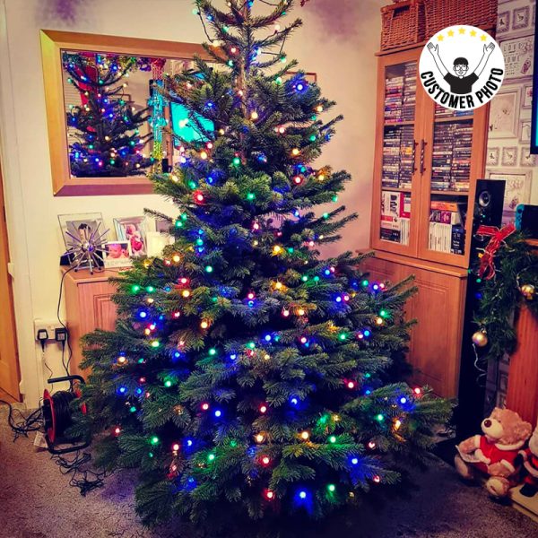 7-8ft Christmas Tree