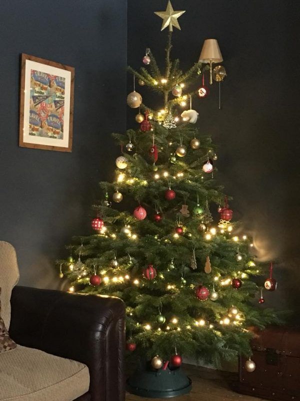 6ft to 7ft Christmas Tree | Nordmann Fir | Real Xmas Trees | £53 Delivered
