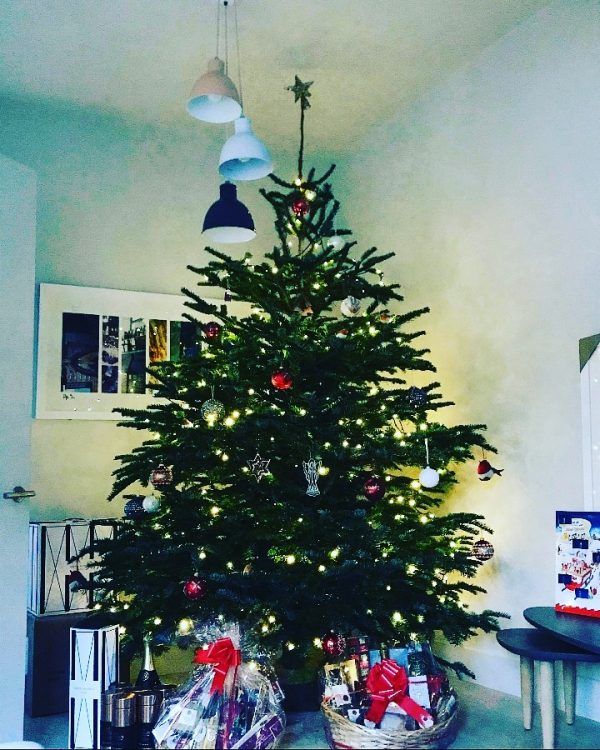 9ft to 10ft Real Christmas Tree