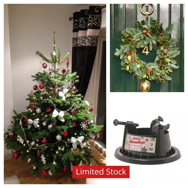 5ft to 6ft Real Christmas tree with water holding stand and traditional wreath